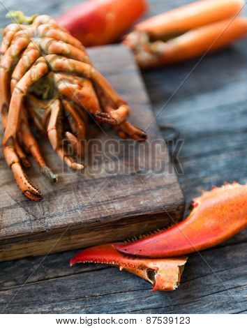 Lobster