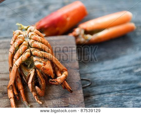 Lobster