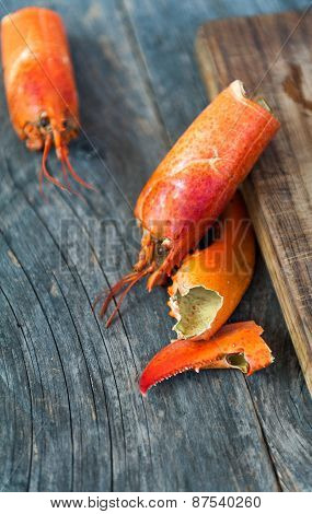 Lobster