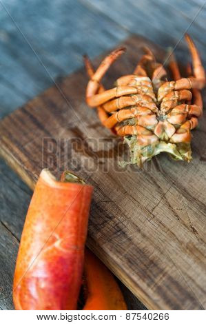 Lobster