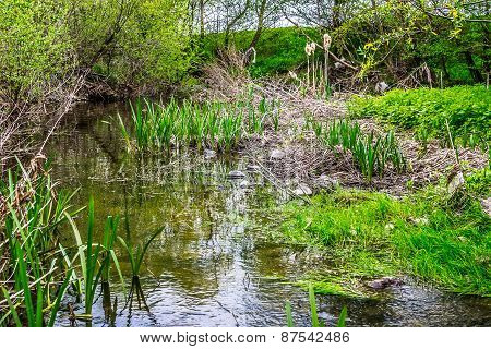 Creek