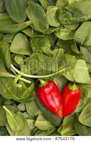 Red Peppers On Leaves Of Spinach