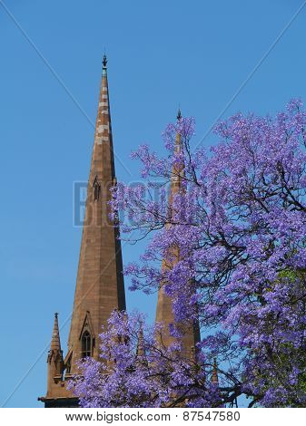 St Patricks Cathedral in Melbourne