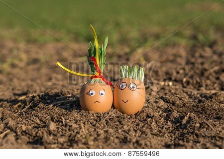 Beautiful Eggs