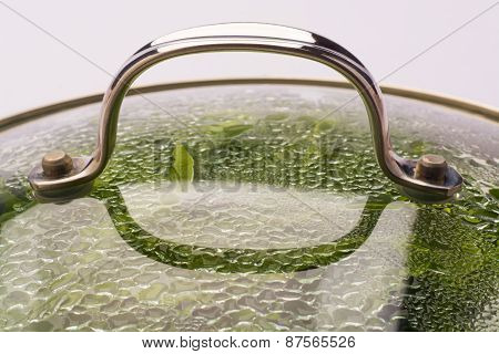 Vegetable Steamer pot and glass lid