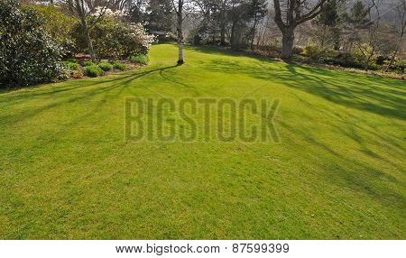 Perfect Lawn