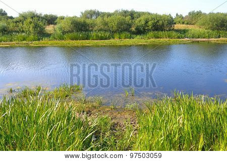 River At Sunny Day.