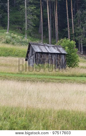 an old wooden cottage in the forest