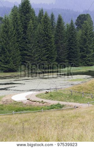 Landscape Of Pond In Mountain