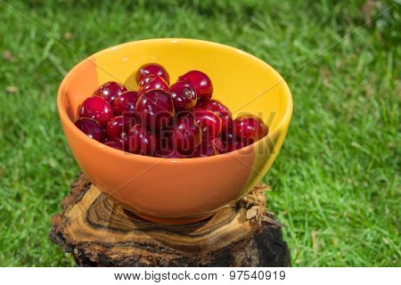 Cherries In A Bowl