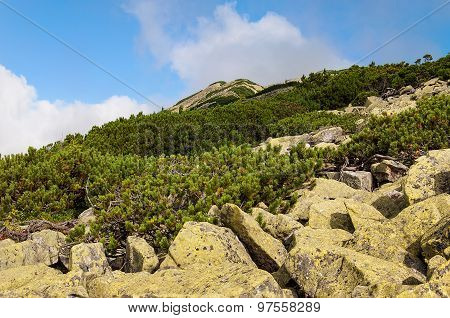Summer Carpathian Mountains, the ridge Gorgan