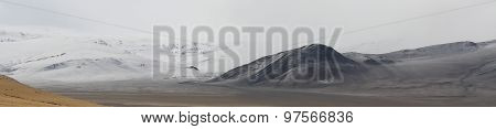 natural color contrast