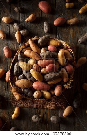 Raw Organic Fingerling Potatoes