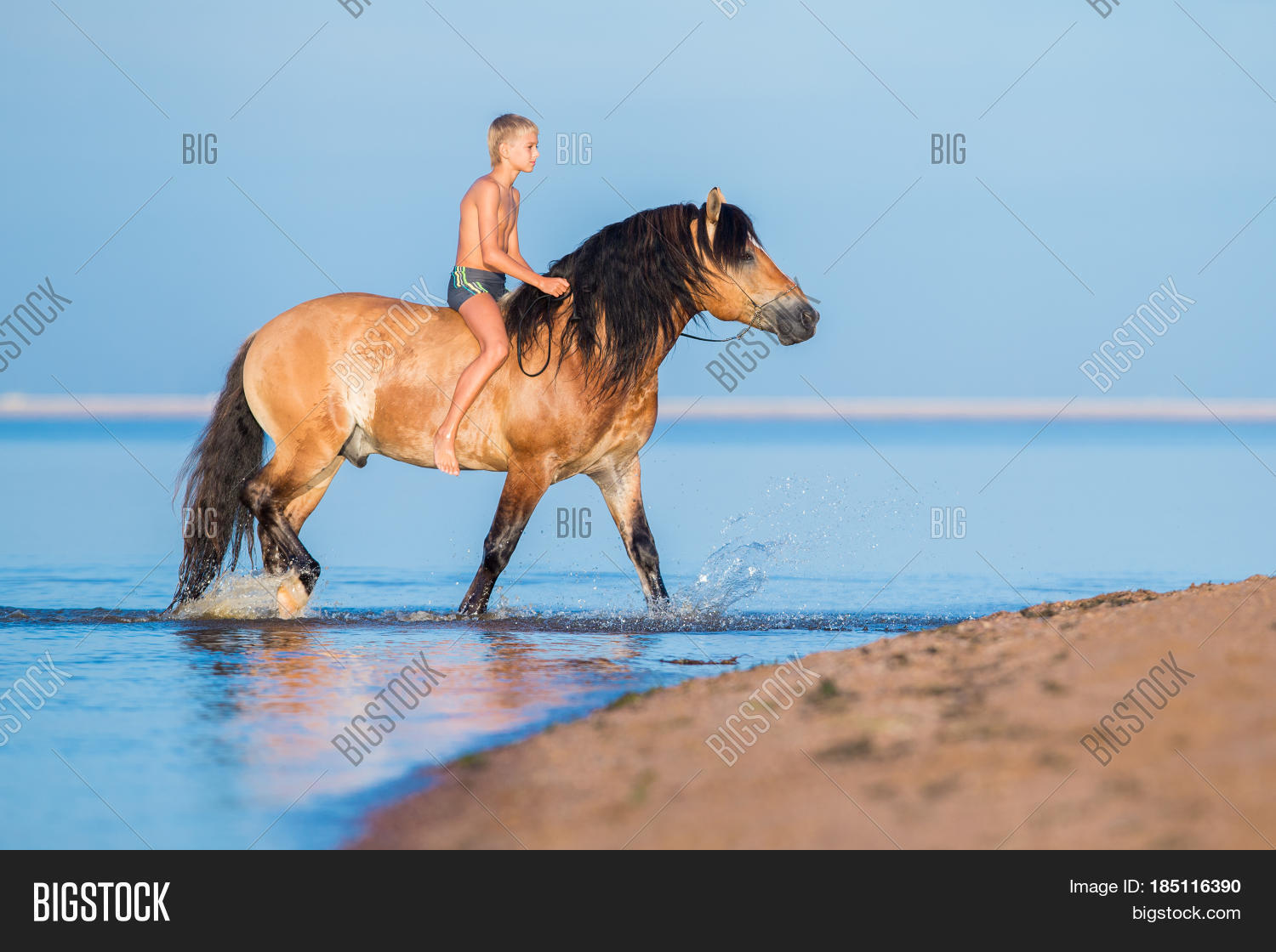Boy Riding Horse Sea. Image & Photo (Free Trial) Bigstock