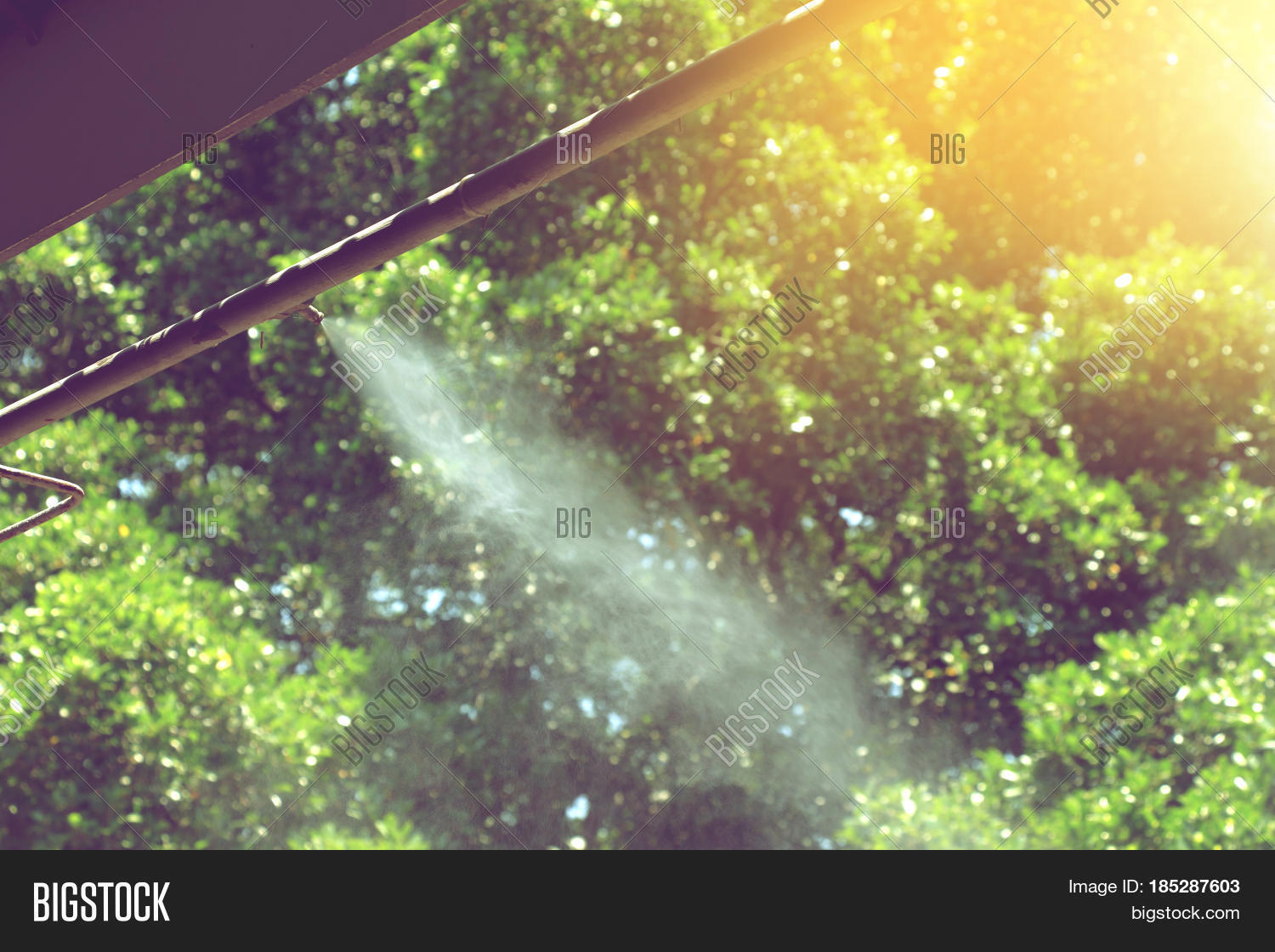 Mist Nozzle Water Image & Photo (Free Trial) Bigstock