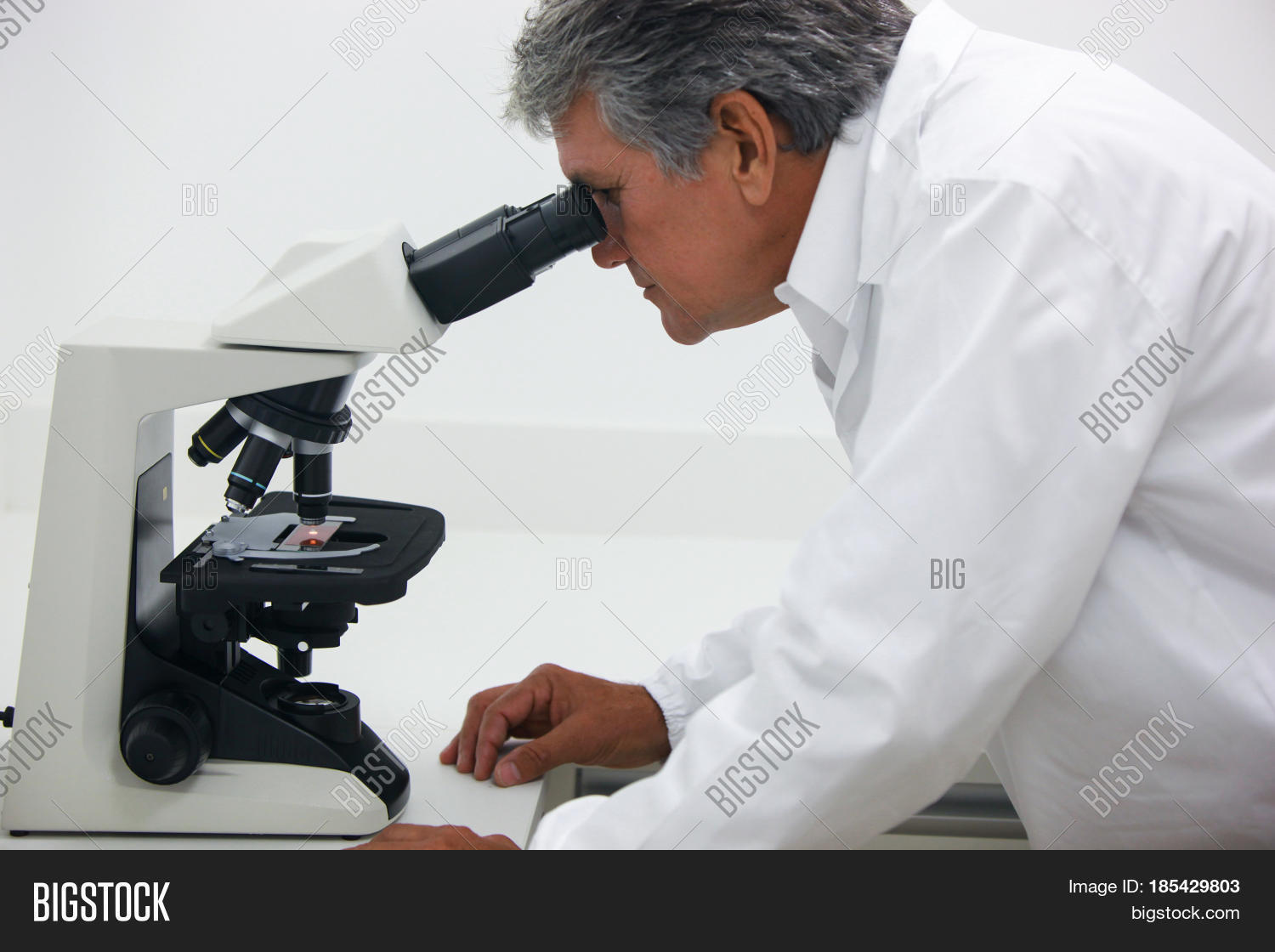 Lab Test Doctor Image & Photo (Free Trial) Bigstock