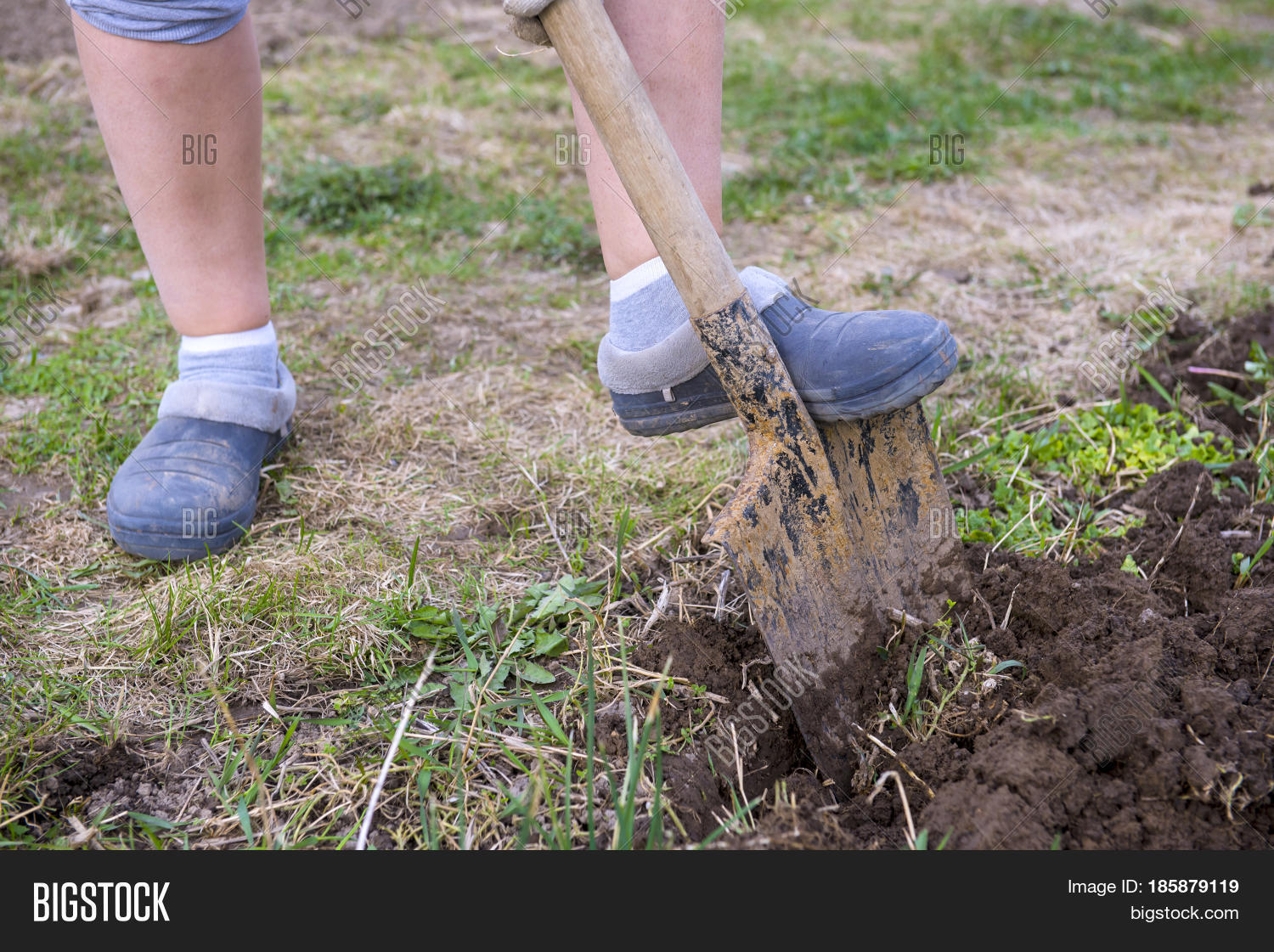 Woman Digging Spade Image & Photo (Free Trial) Bigstock
