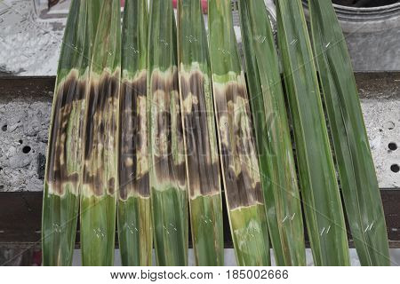 Kanom Jark Thai sweetmeat made of flour coconut and sugar with nipa plam leaves