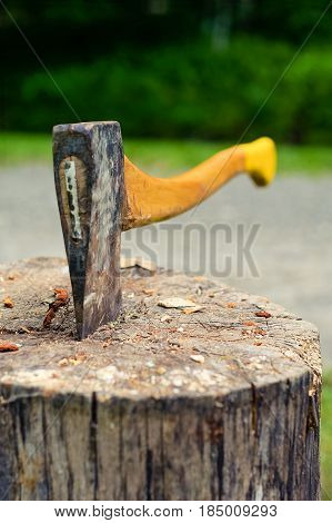 Wood chopping axe stuck in tree stump.Selective focus on hatchet blade stuck in old tree log with forest in the background. This axe is commonly used in making and cutting firewood.