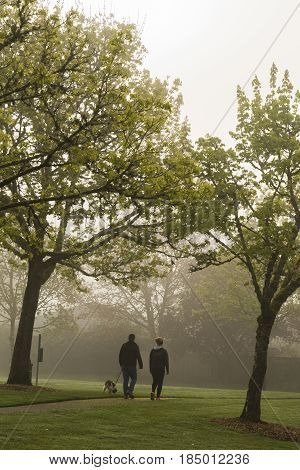 A couple walking thier dog through the foggy park in the morning.