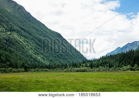 Four girl mountain build gully scenery in Sichuan, China