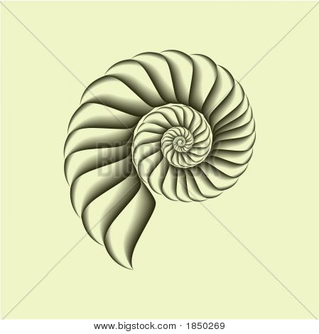 Shell5.EPS