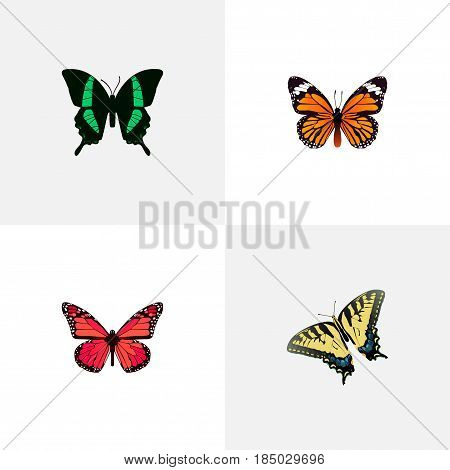 Realistic Checkerspot, Beauty Fly, Azure Peacock And Other Vector Elements. Set Of Beauty Realistic Symbols Also Includes Butterfly, Peacock, Swallowtail Objects.