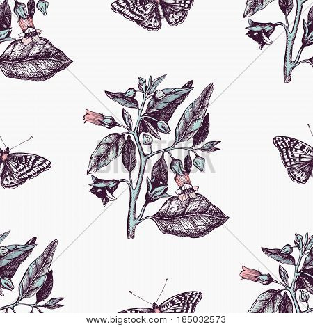 Vintage seamless pattern with Ink hand drawn Poligonia butterflies illustration and Belladonna flower sketch. Vector background with highly detailed moth and poisonous plant sketch