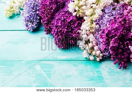 Bunch Of Lilac Flowers. Top View. Copy Space.