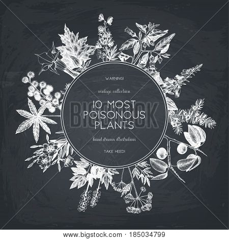 Vector frame design with hand drawn poisonous plants illustration. Vintage noxious plants sketch background. Botanical template with poisonous flowers on chalkboard