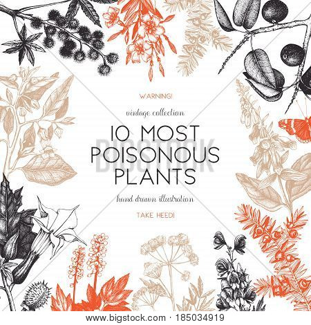 Vector frame design with hand drawn poisonous plants illustration. Vintage noxious plants sketch background. Botanical template with poisonous flowers isolated on white.