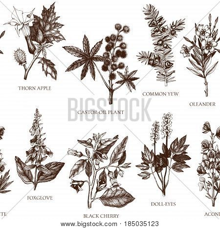 Vector seamless pattern with colorful hand drawn poisonous plants.