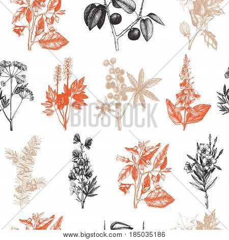 Vector seamless pattern with colorful hand drawn poisonous plants.