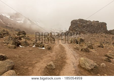 Track on Kilimanjaro on the Machame Route Whiskey. 3 day on the way