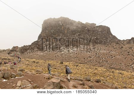 Track on Kilimanjaro on the Machame Route Whiskey. 3 day on the way