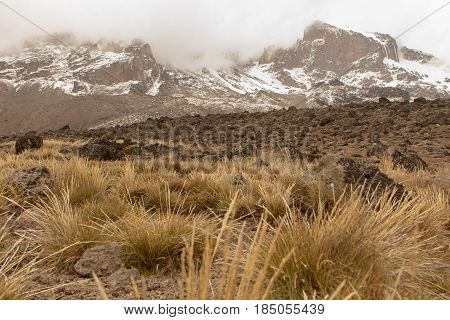 Track on Kilimanjaro on the Machame Route Whiskey. 3 day on the way