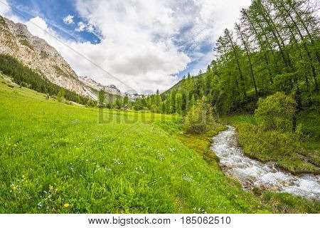 Flowing Transparent Waters On High Altitude Alpine Stream In Idyllic Uncontaminated Environment In T