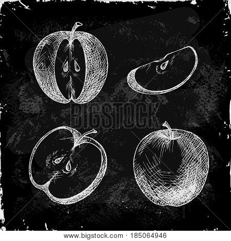Vector collection of hand drawn apple illustration. Vintage set of fruits sketch on chalkboard