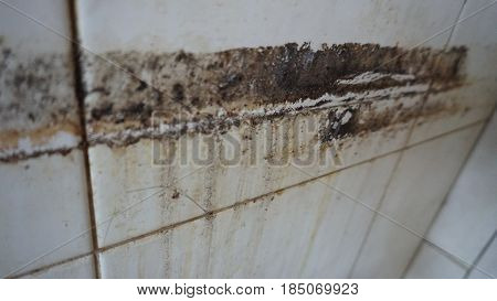 Old mud on an old tile with divorces on the wall.