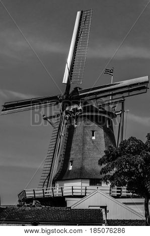 ALKMAAR, THE NETHERLANDS - AUGUST 25, 2013: 