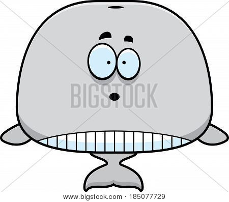 Surprised Cartoon Whale