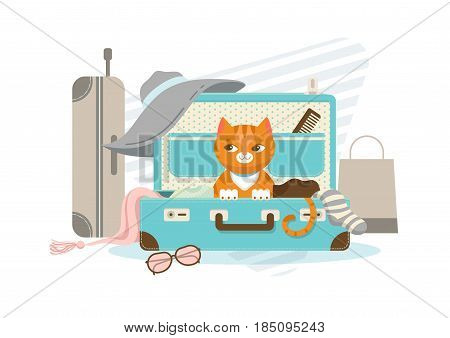 Summer vacation concept with cat sitting in suitcase hat sunglasses scarf comb sock baggage shopping bag vector illustration