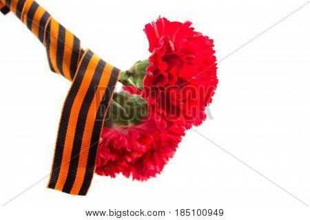 Three Red Cloves Tied With Saint George Ribbon On White