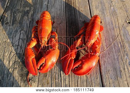 delicious lobster on a wooden table, cooked