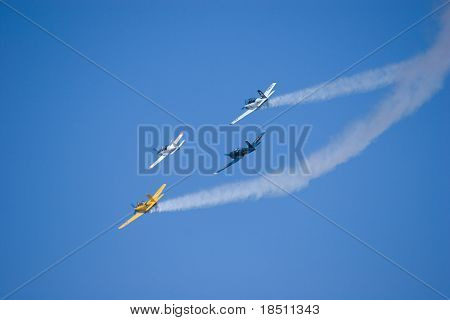 PALM COAST, FLORIDA - 27. marts: Fly fly på vingerne Over Flagler Air Show i Flagler Count