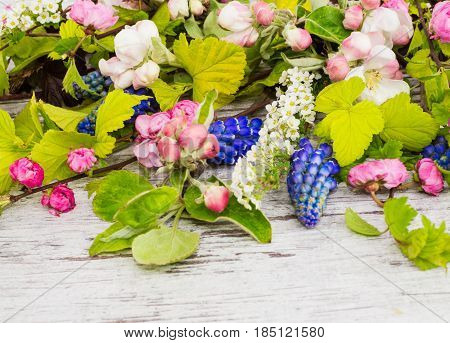 Background of louiseania, muscari and other fresh branches.