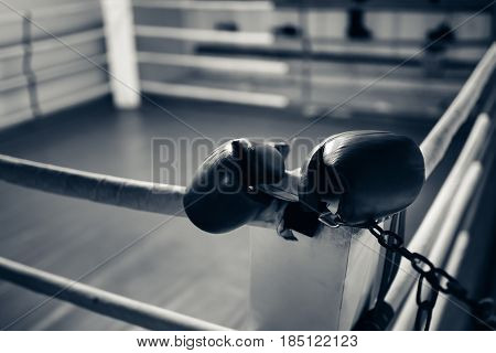 Boxing gloves in the ring. hign contrast and monochrome color tone. Toning.
