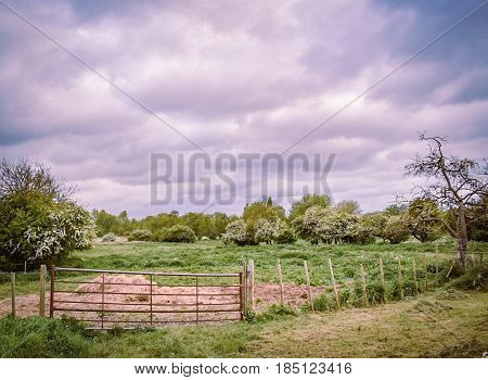 Rugged Mooreland beauty beneath an angry sky