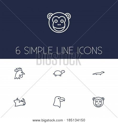 Set Of 6 Beast Outline Icons Set.Collection Of Turtle, Eagle, Lizard And Other Elements.