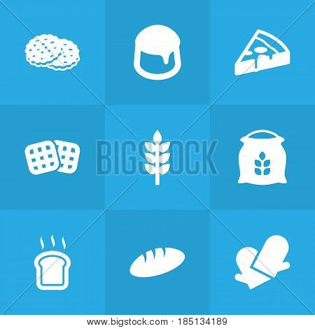 Set Of 9 Oven Icons Set.Collection Of Slice Bread, Shortcake, Pepperoni And Other Elements.